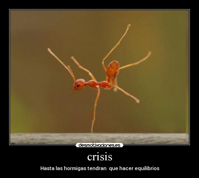 crisis - Hasta las hormigas tendran que hacer equilibrios