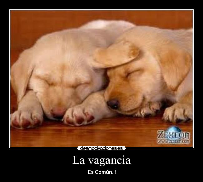 La vagancia - Es Común..!
