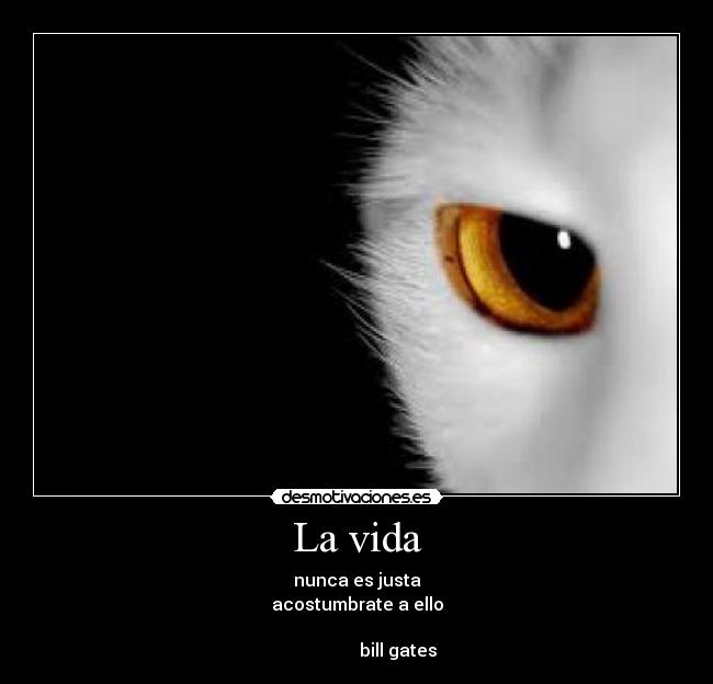 La vida - nunca es justa
acostumbrate a ello
bill gates