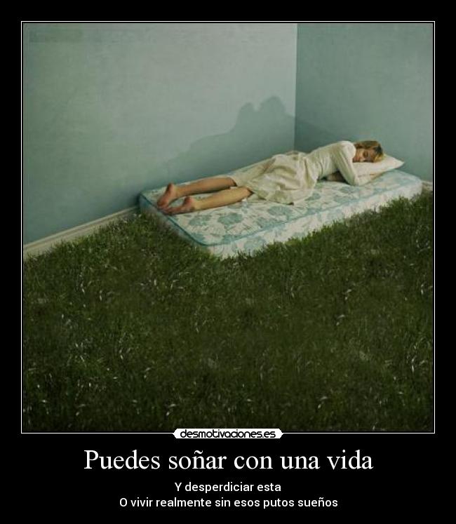 carteles vida nart bellum veritatis improvisa planifiques desmotivaciones