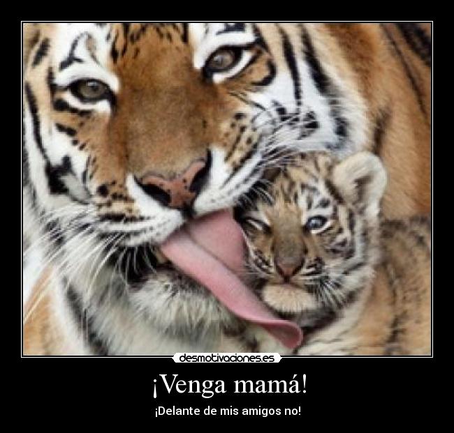 carteles lucialocaderemate desmotivaciones