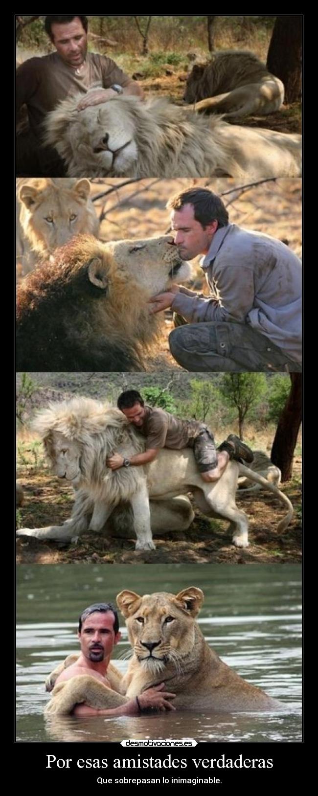 Por esas amistades verdaderas - 