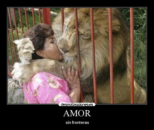 AMOR - sin fronteras