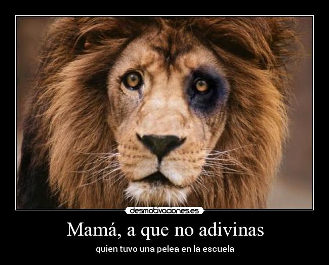 carteles punetes desmotivaciones