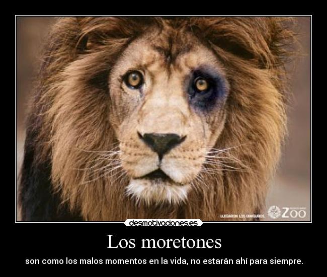 carteles aunque algunos tarden mas desaparecer desmotivaciones