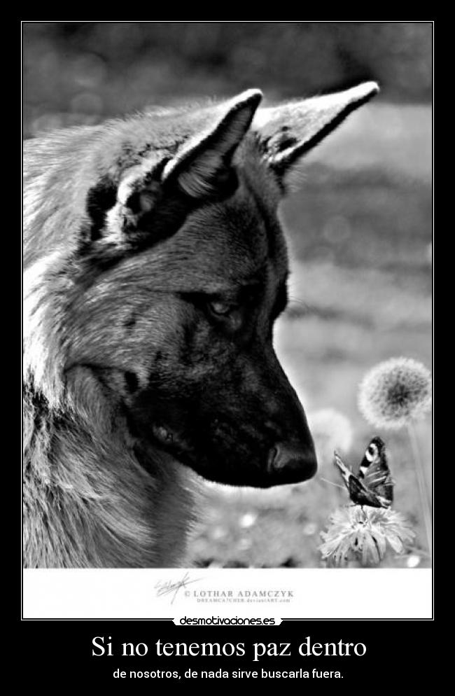 Si no tenemos paz dentro - 