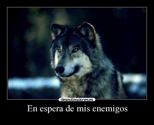 carteles wolf lobo desmotivaciones