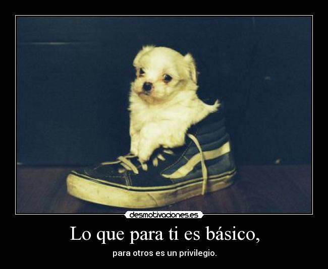 carteles sonrisarota desmotivaciones