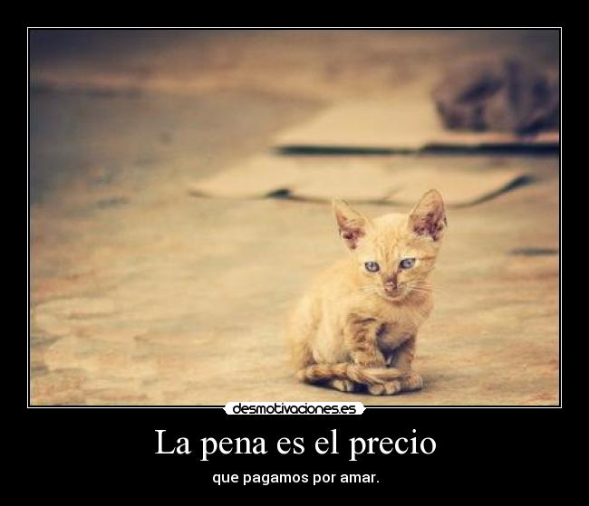 La pena es el precio -