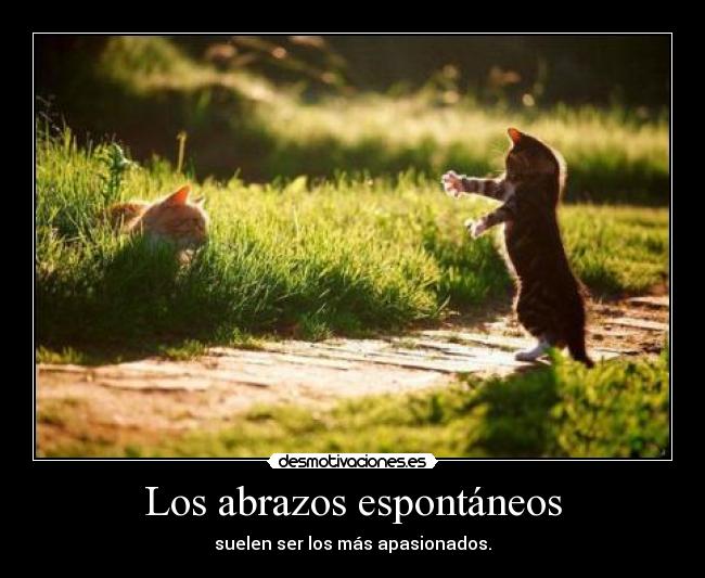 Los abrazos espontáneos - suelen ser los más apasionados.