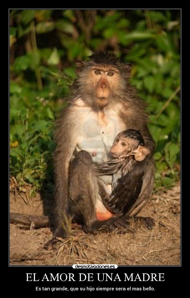 EL AMOR DE UNA MADRE - 