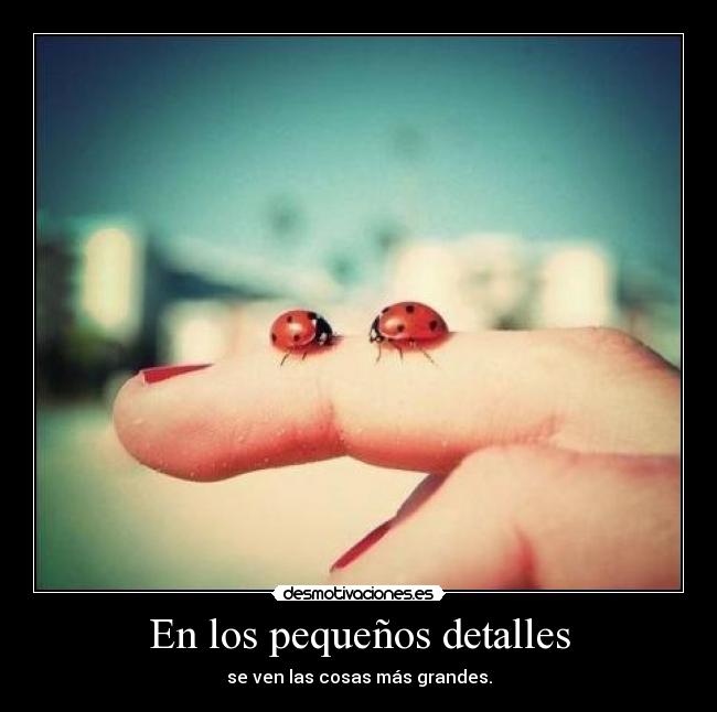 En los pequeños detalles - se ven las cosas más grandes.
