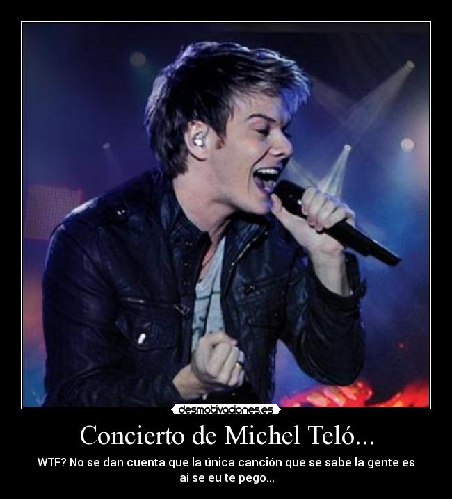 Concierto de Michel Teló... -