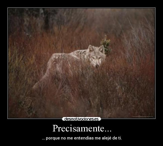 carteles precisamente entender alejar tii desmotivaciones