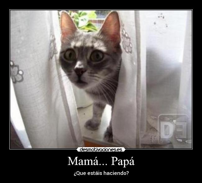 Mamá... Papá - ¿Que estáis haciendo?