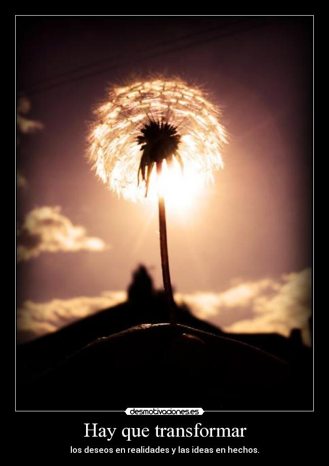 Hay que transformar - los deseos en realidades y las ideas en hechos.