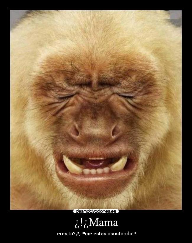 ¿!¿Mama - 