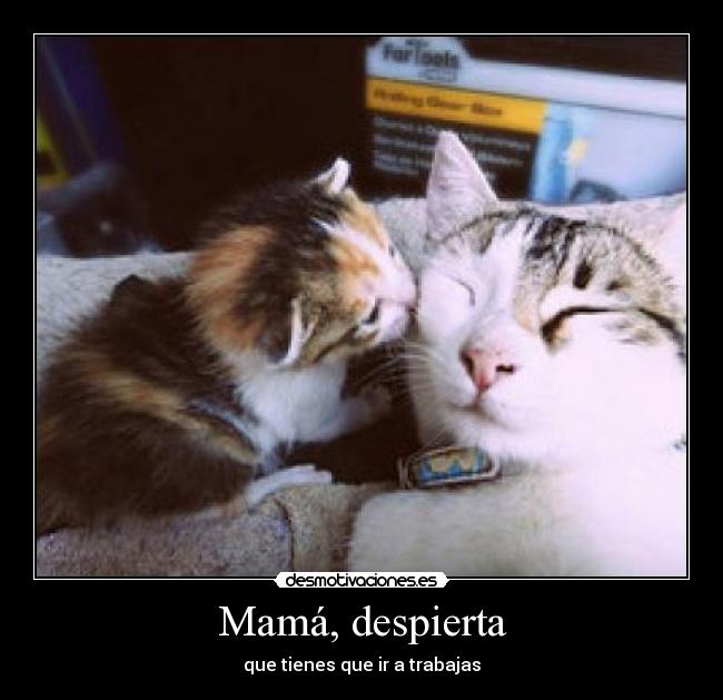 Mamá, despierta - que tienes que ir a trabajas