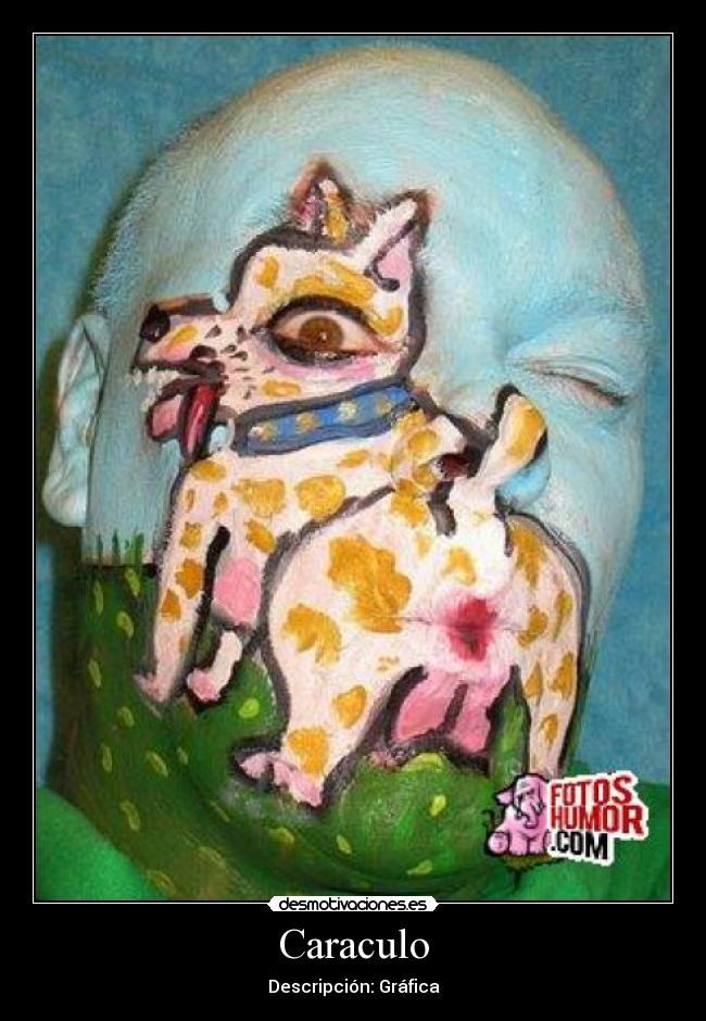 Caraculo - 