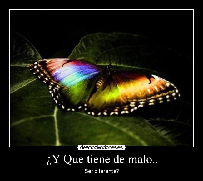 ¿Y Que tiene de malo.. - 