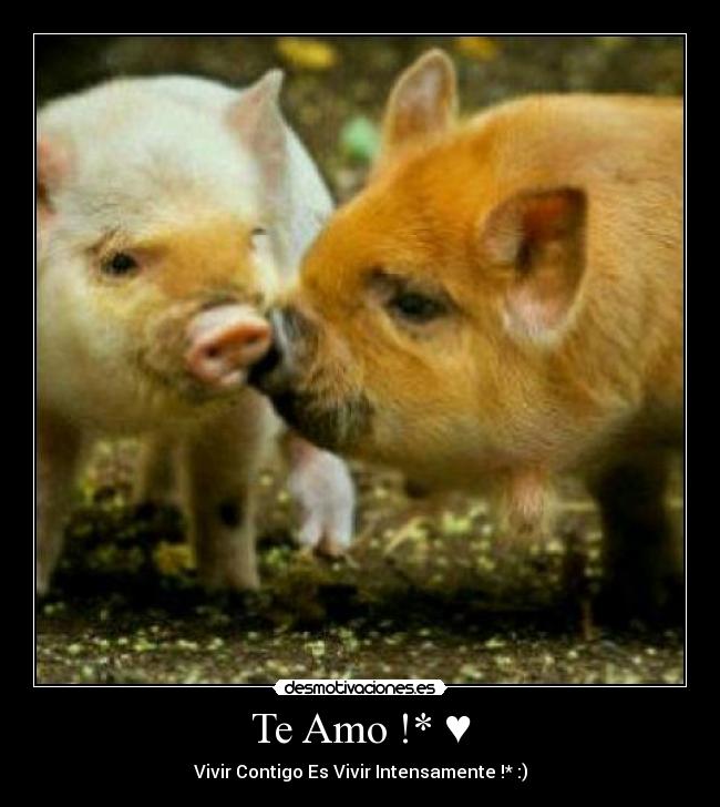 Te Amo !* ♥ -