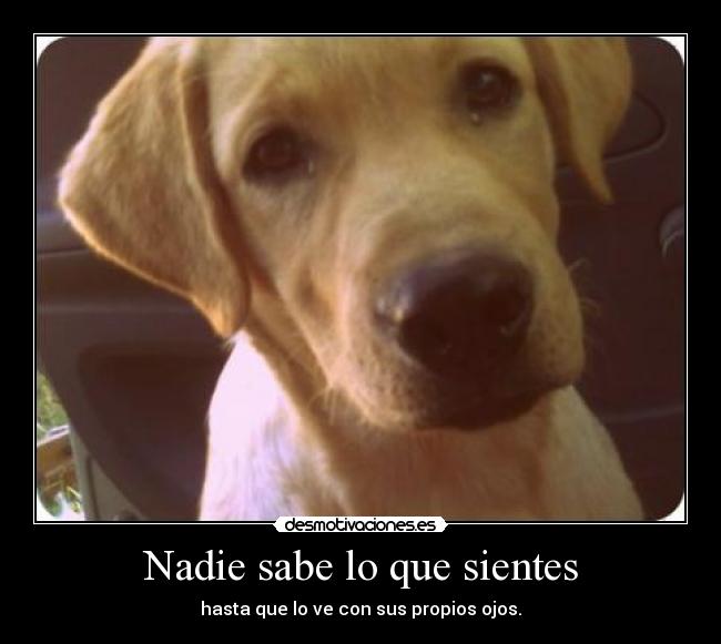 Nadie sabe lo que sientes - hasta que lo ve con sus propios ojos.