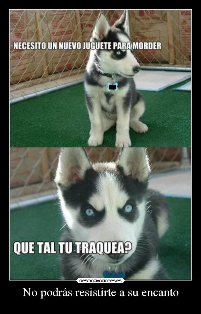 No podrás resistirte a su encanto -