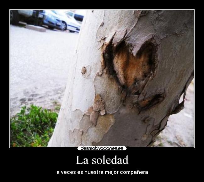 La soledad - 