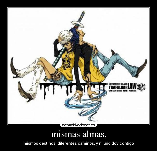 carteles trafalgar law tio tia para gusto colores desmotivaciones