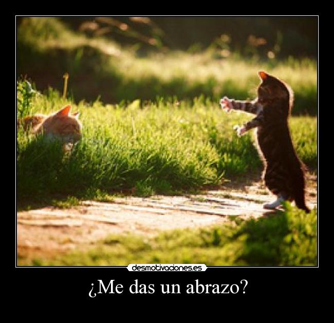 ¿Me das un abrazo? -