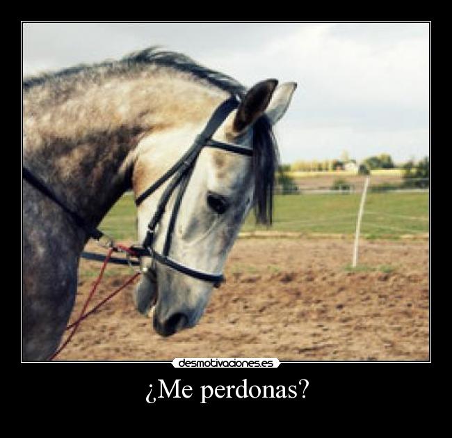 ¿Me perdonas? -