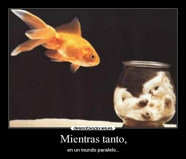 Mientras tanto, - en un mundo paralelo...