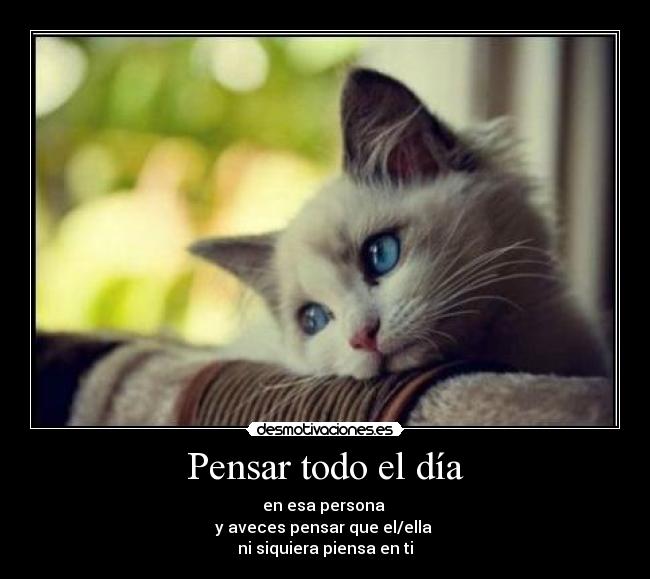 Pensar todo el día - en esa persona 
y aveces pensar que el/ella 
ni siquiera piensa en ti