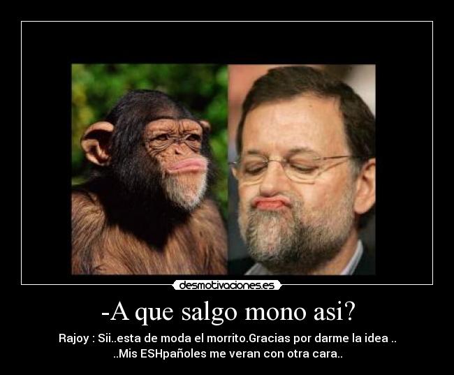 carteles lavy desmotivaciones