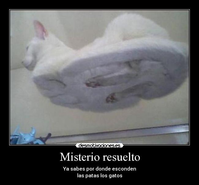 Misterio resuelto - Ya sabes por donde esconden
las patas los gatos