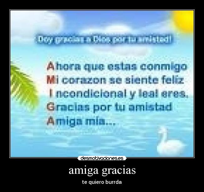 amiga gracias - te quiero burrda
