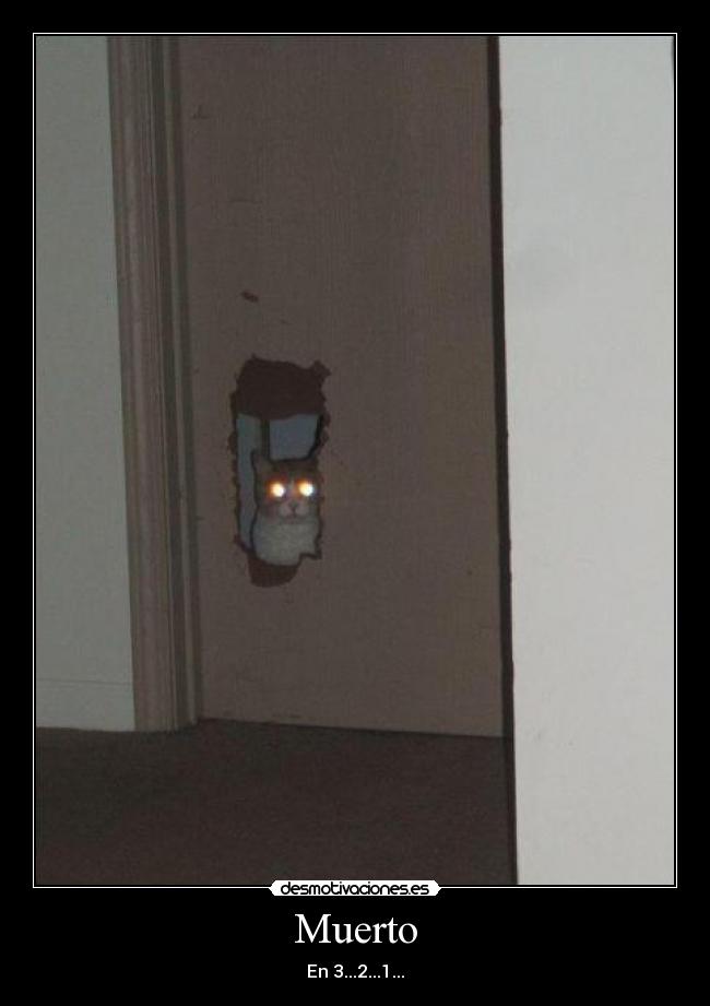 Muerto -