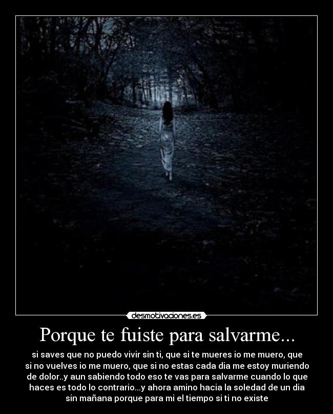 carteles porque fuiste para salvarme desmotivaciones