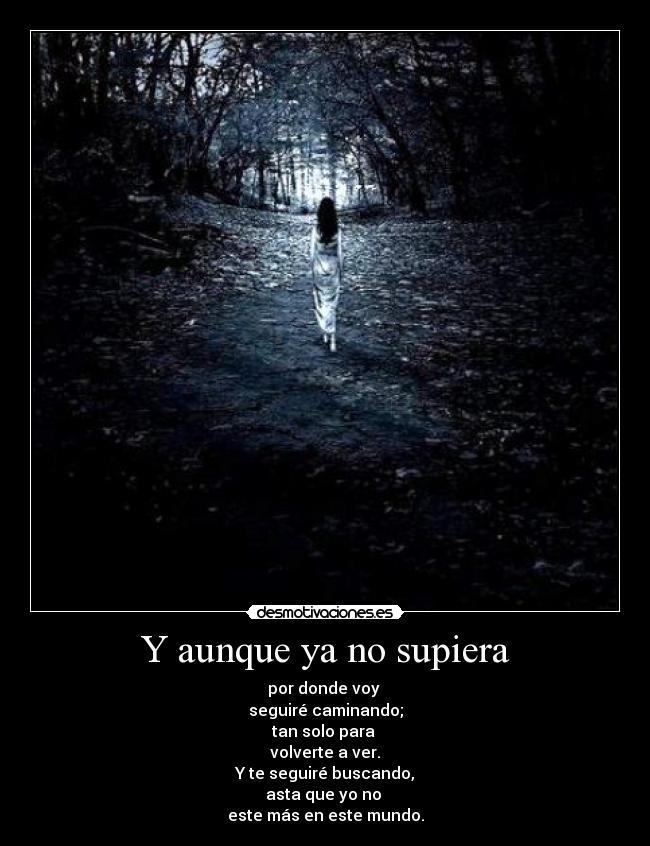 Y aunque ya no supiera - por donde voy 
seguiré caminando;
tan solo para 
volverte a ver.
Y te seguiré buscando,
asta que yo no 
este más en este mundo.