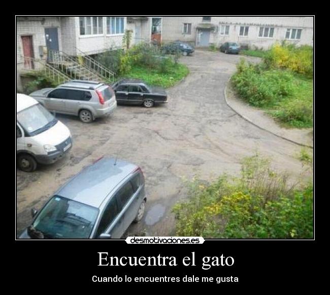 Encuentra el gato -