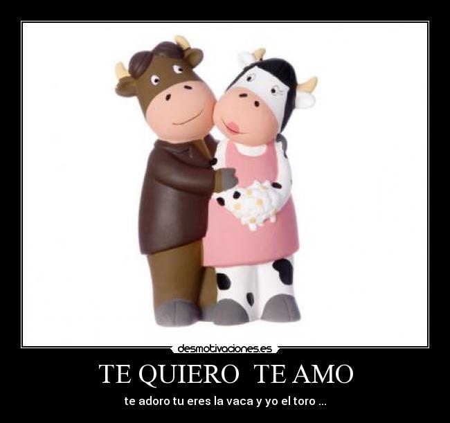 TE QUIERO  TE AMO - te adoro tu eres la vaca y yo el toro ...