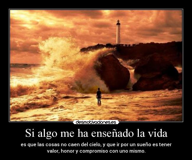 carteles vida algo ensenado vida desmotivaciones