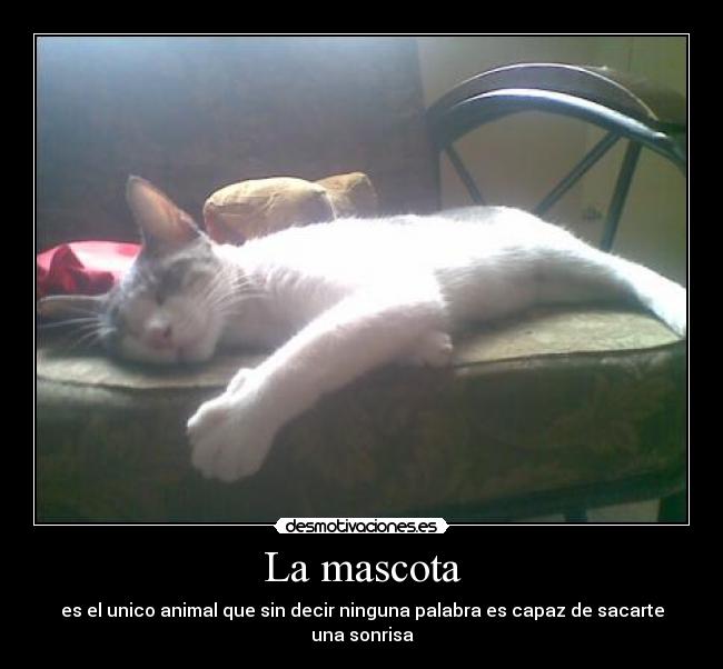 La mascota - es el unico animal que sin decir ninguna palabra es capaz de sacarte una sonrisa