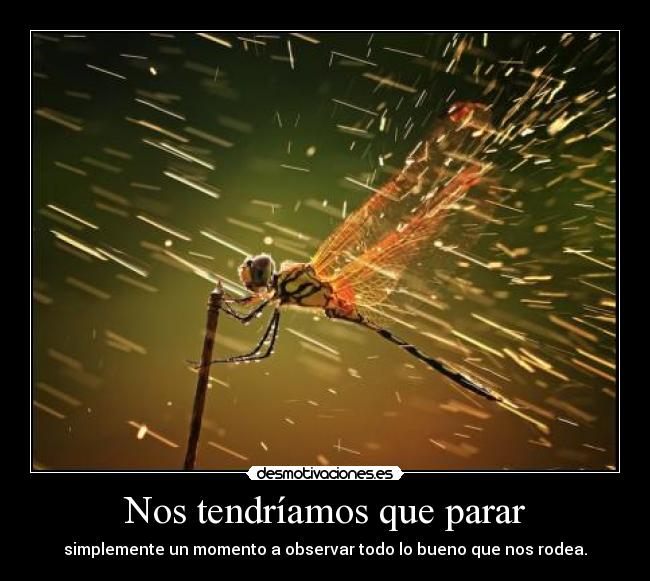 Nos tendríamos que parar -