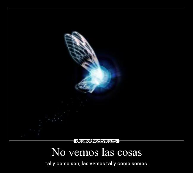 No vemos las cosas -