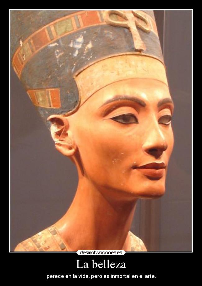 carteles belleza desmotivaciones