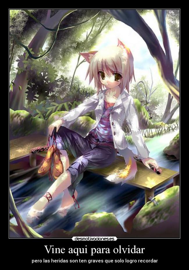 Vine aqui para olvidar - pero las heridas son ten graves que solo logro recordar