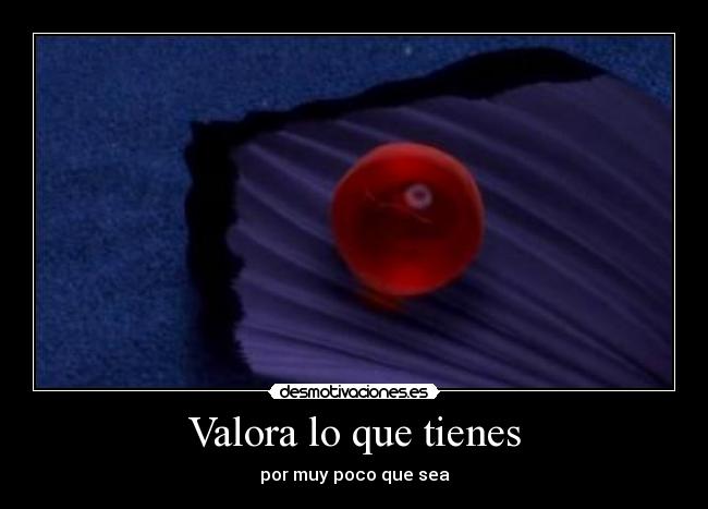 Valora lo que tienes - 