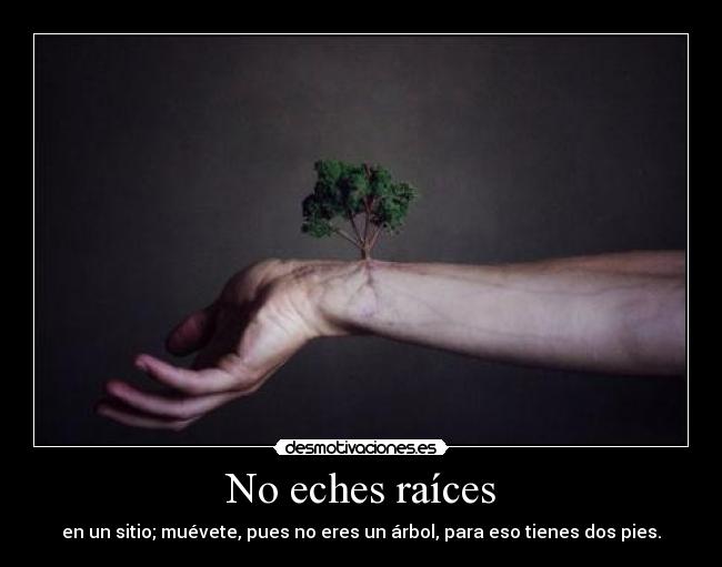 No eches raíces - en un sitio; muévete, pues no eres un árbol, para eso tienes dos pies.