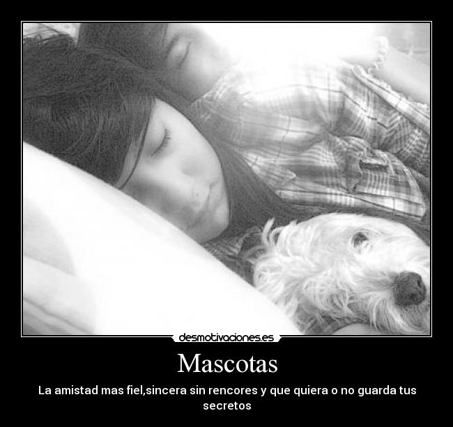 Mascotas -